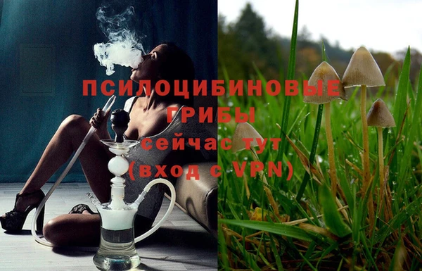 mdpv Алзамай