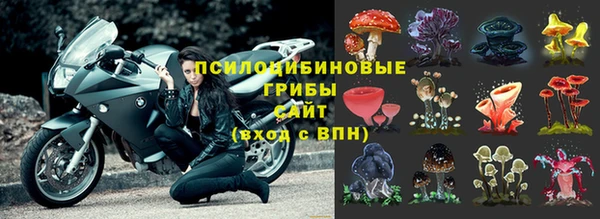 дживик Алексин