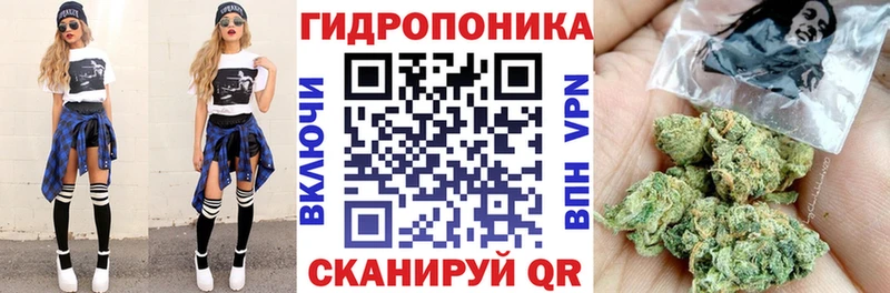 Шишки марихуана Amnesia Петровск-Забайкальский